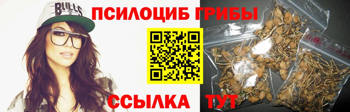 Псилоцибиновые грибы Psilocybe Лангепас
